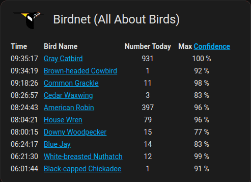 BirdNET-go Markdown Card All About Birds